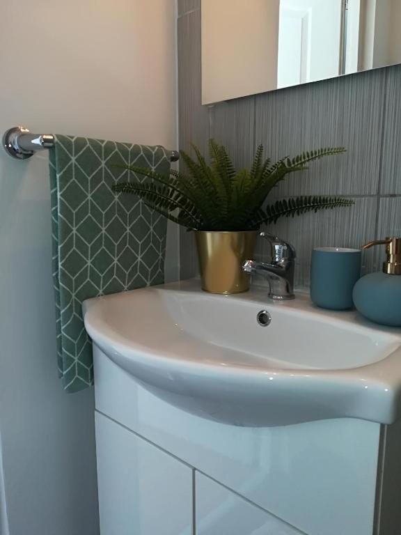 Guesthouse Smart 부쿠레슈티 외부 사진