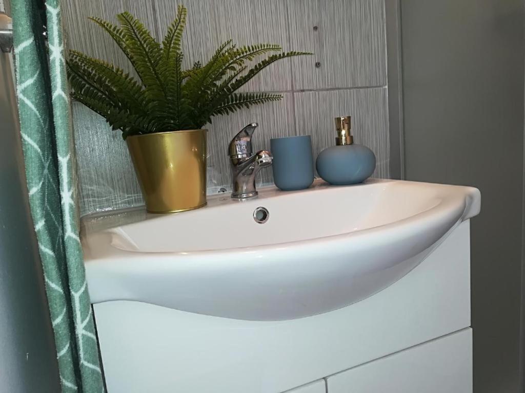 Guesthouse Smart 부쿠레슈티 외부 사진